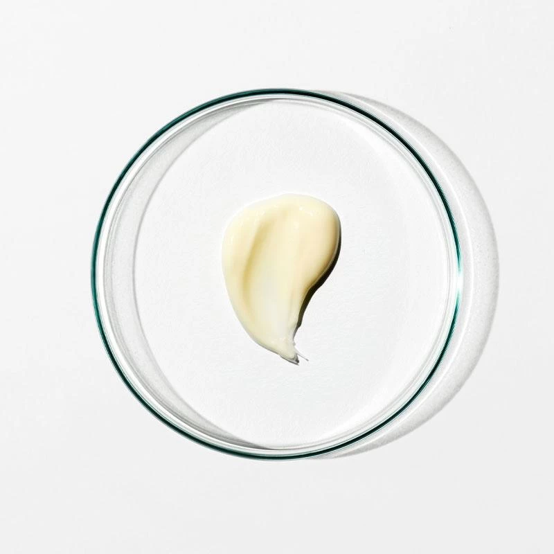 Grown Alchemist Regenerating Night Cream: Neuro-Peptide, Violet Leaf Extract 40ml 5 Grown Alchemist Regenerating Night Cream: Neuro-Peptide, Violet Leaf Extract 40ml - Image 3